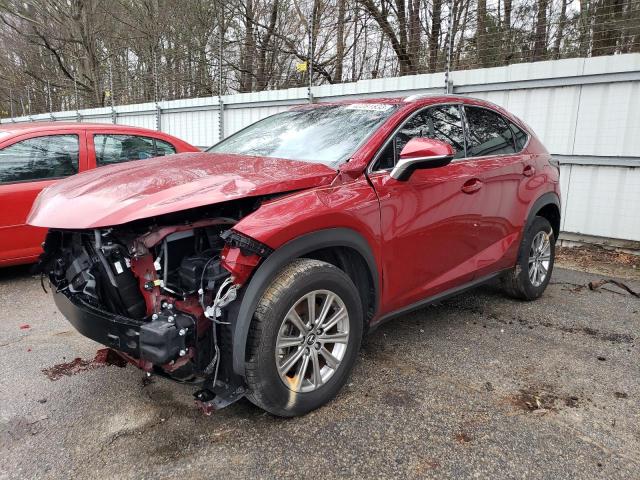 Lexus Nx 300 bas (2021)