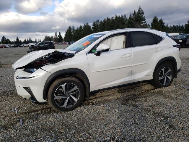 Lexus Nx 300h ba (2021)