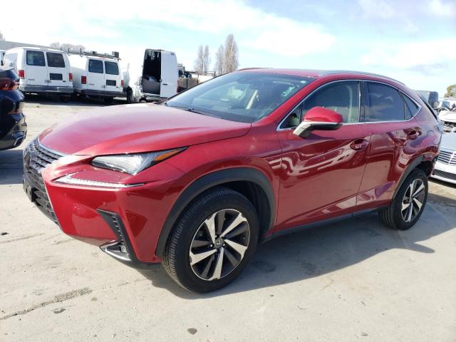 Lexus Nx 300 bas (2018)