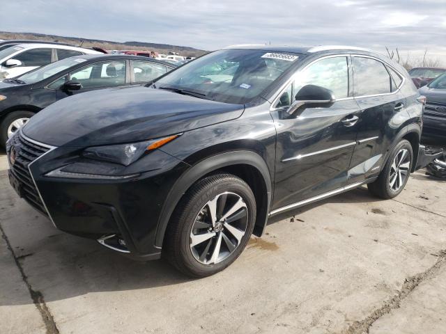 Lexus Nx 300h ba (2021)