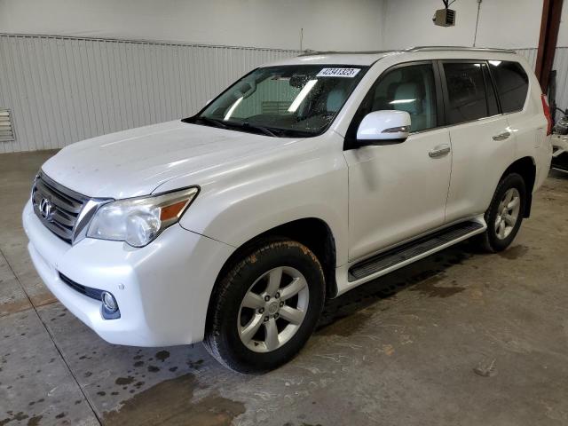 Lexus Gx 460 (2010)