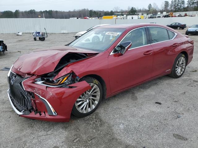 Lexus Es 300h (2019)
