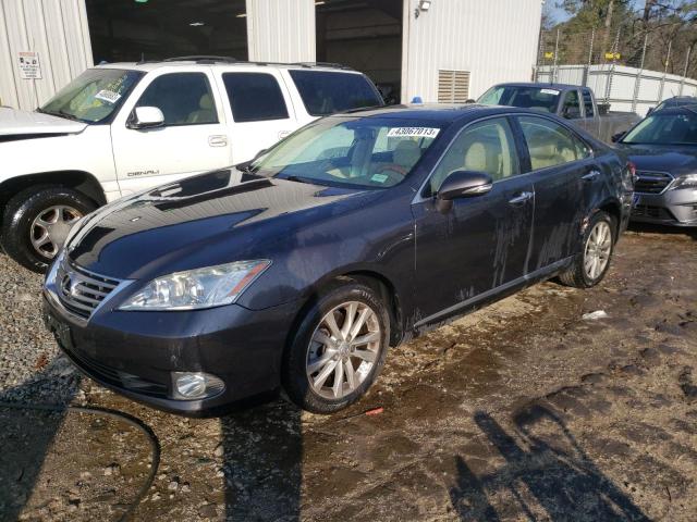 Lexus Es 350 (2010)