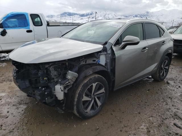 Lexus Nx 300h (2020)