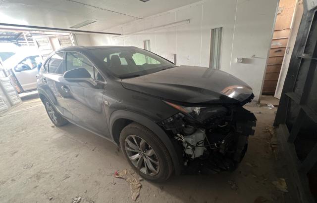 Lexus Nx 300 bas (2021)