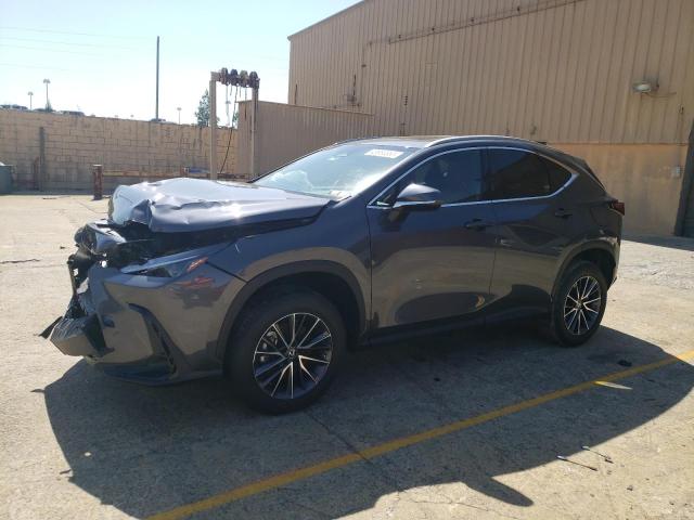 Lexus Nx 250 (2022)