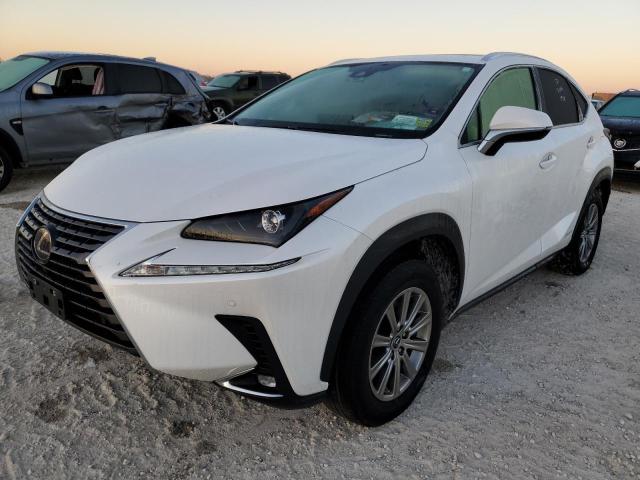 Lexus Nx 300h ba (2021)
