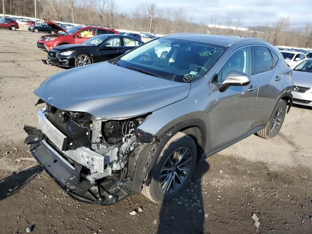 Lexus Nx 350 (2023)
