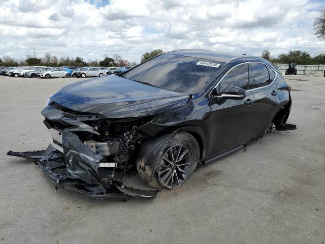 Lexus Nx 250 (2023)