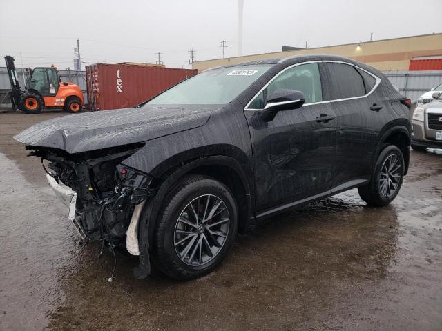 Lexus Nx 250 (2023)