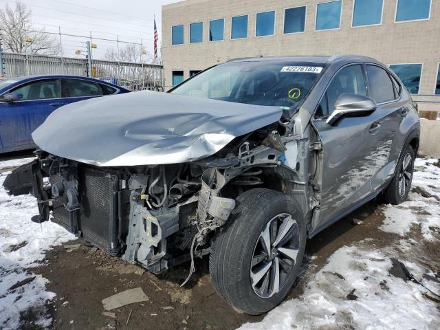 Lexus Nx 300 bas (2018)