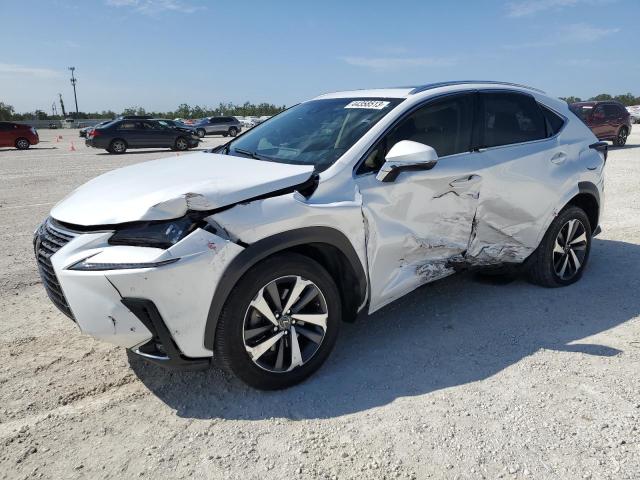 Lexus Nx 300 bas (2019)