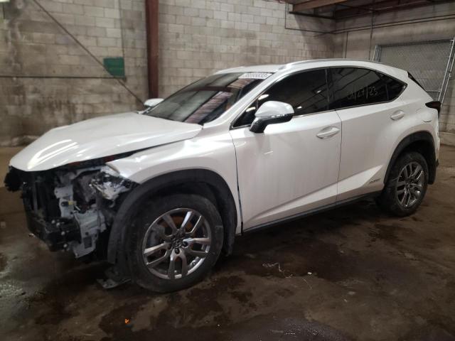 Lexus Nx 300h ba (2021)