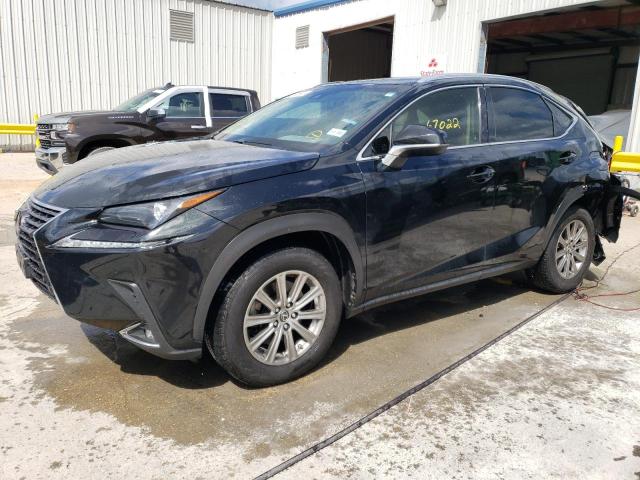 Lexus Nx 300 bas (2018)