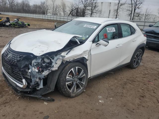 Lexus Ux 250h ba (2023)