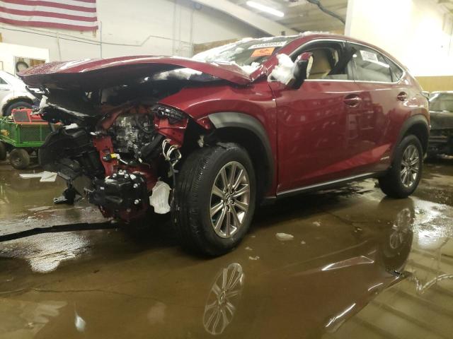 Lexus Nx 300h ba (2021)