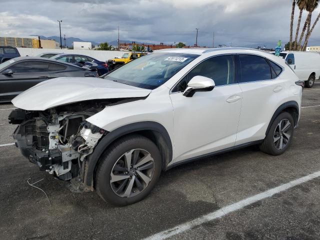 Lexus Nx 300 bas (2018)