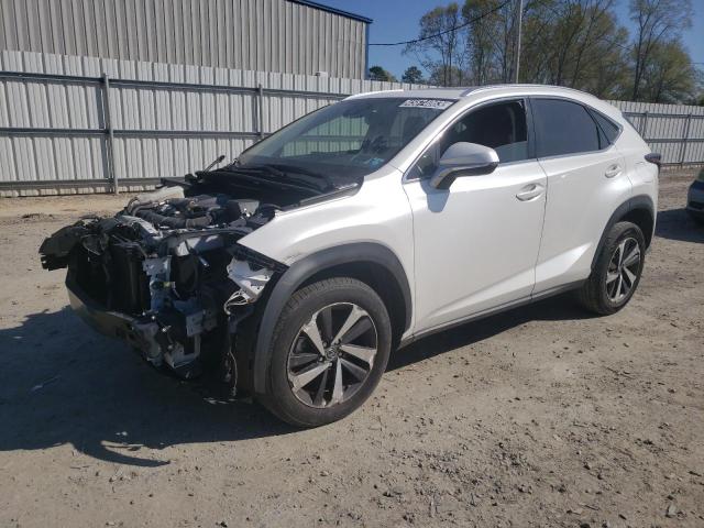 Lexus Nx 300 (2020)