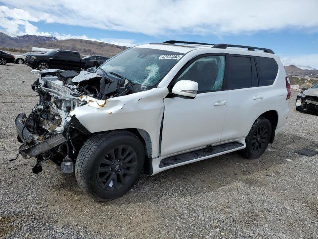 Lexus Gx 460 (2022)