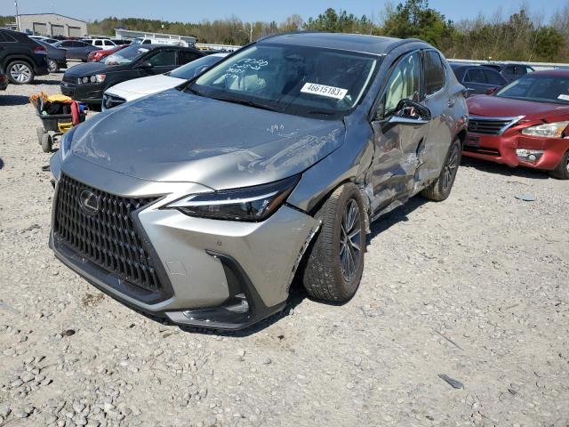Lexus Nx 250 (2023)