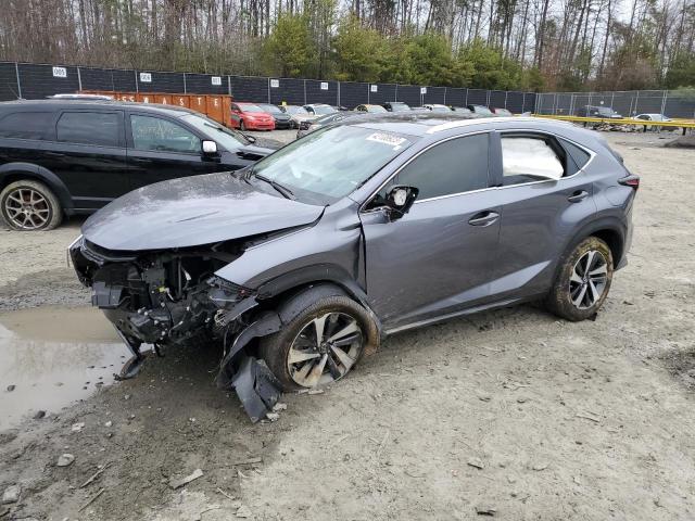 Lexus Nx 300 bas (2021)