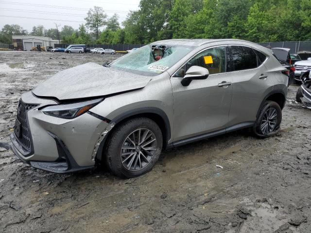 Lexus Nx 350 (2022)