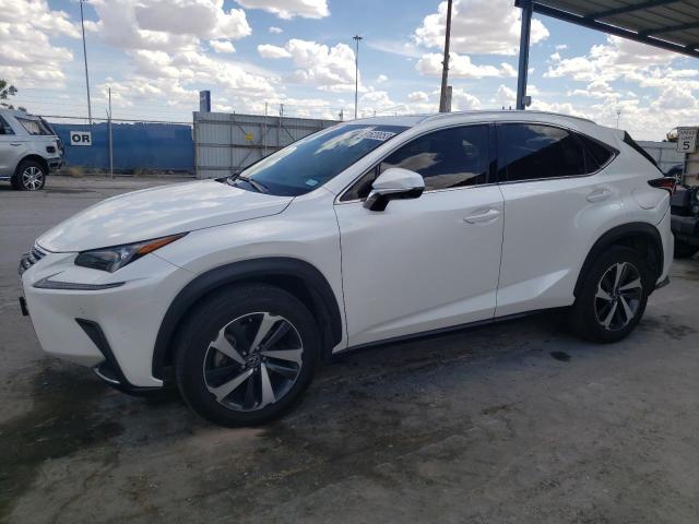 Lexus Nx 300 bas (2019)