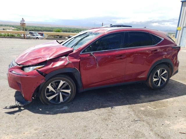 Lexus Nx 300h (2020)