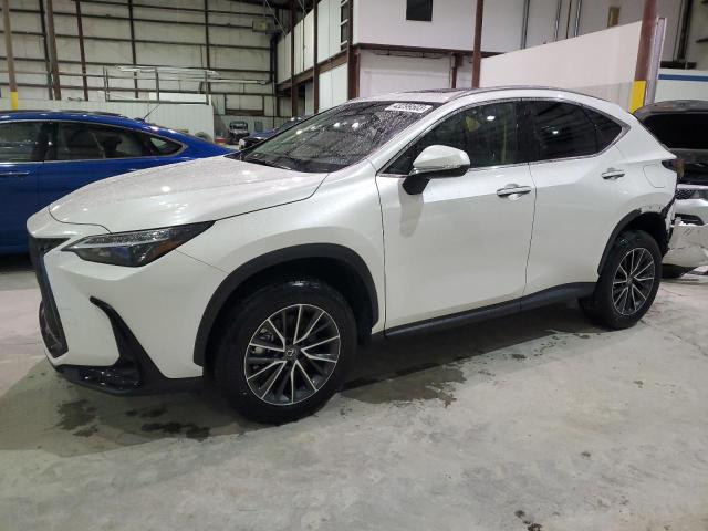 Lexus Nx 250 (2022)