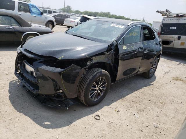 Lexus Nx 250 (2023)