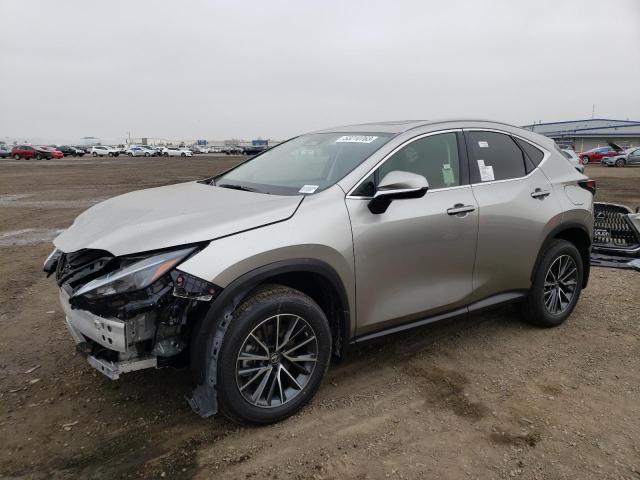 Lexus Nx 250 (2023)