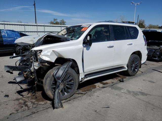 Lexus Gx 460 lux (2023)