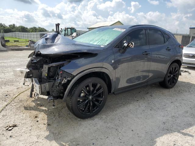 Lexus Nx 350 (2023)