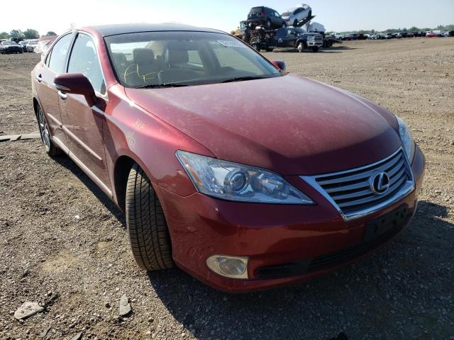 Lexus Es 350 (2010)