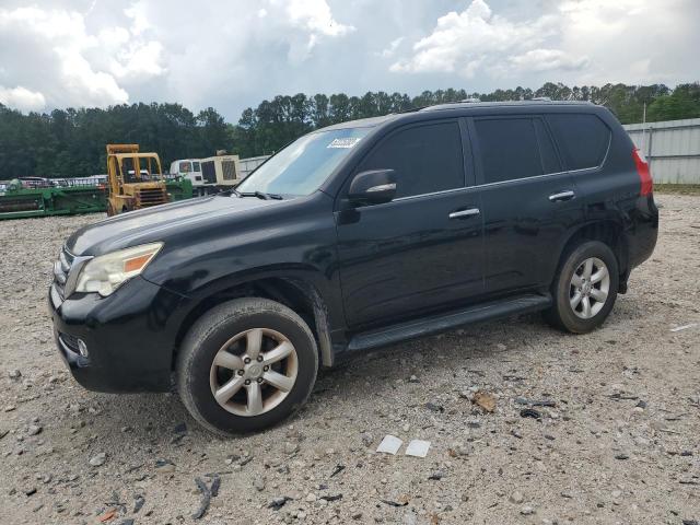 Lexus Gx 460 (2010)