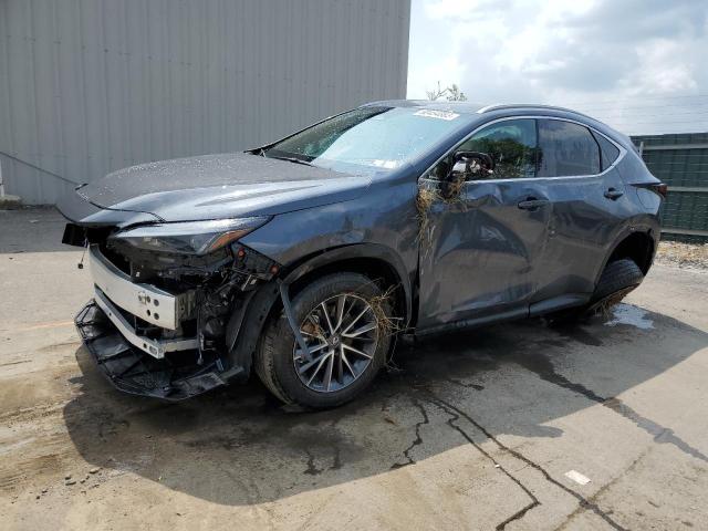 Lexus Nx 250 (2023)