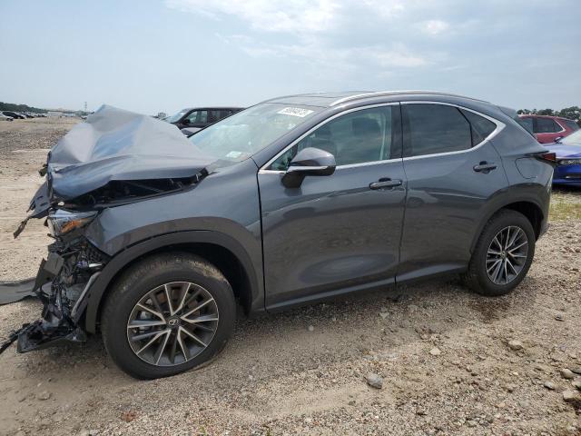 Lexus Nx 350 (2023)