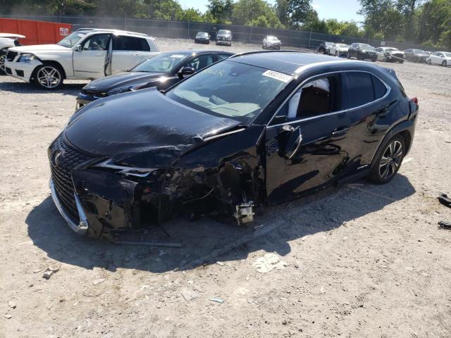 Lexus Ux 250h ba (2022)