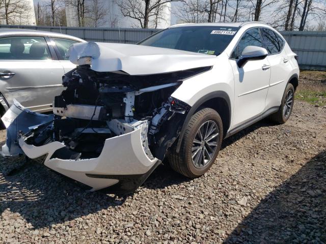 Lexus Nx 350 (2022)