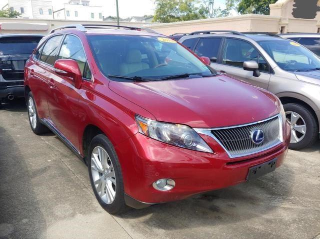 Lexus Rx450 (2010)