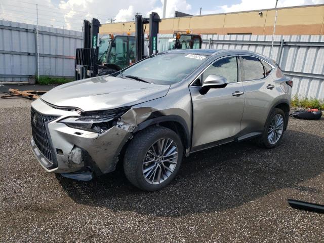 Lexus Nx 350 (2023)