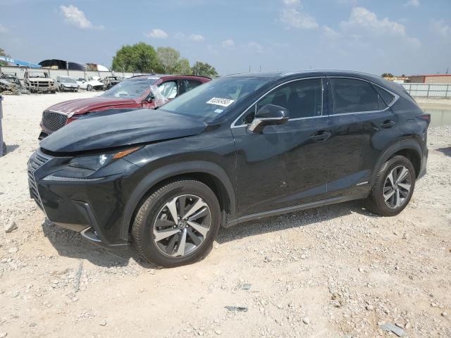 Lexus Nx 300h ba (2021)