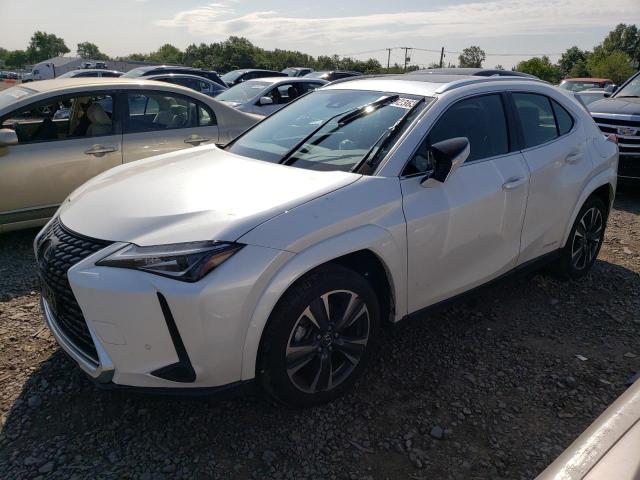 Lexus Ux 250h ba (2022)