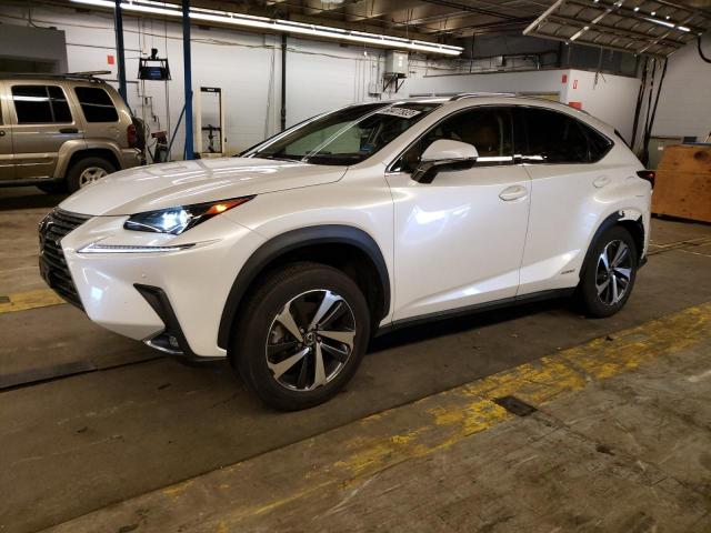 Lexus Nx 300h ba (2021)