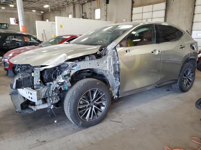 Lexus Nx 250 (2022)