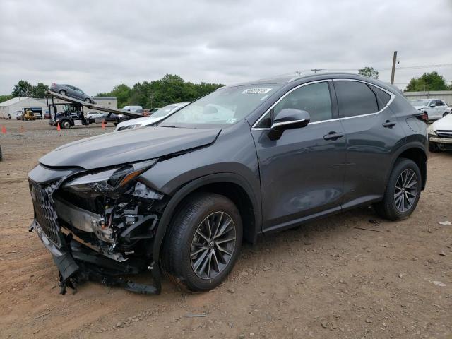 Lexus Nx 350h ba (2024)