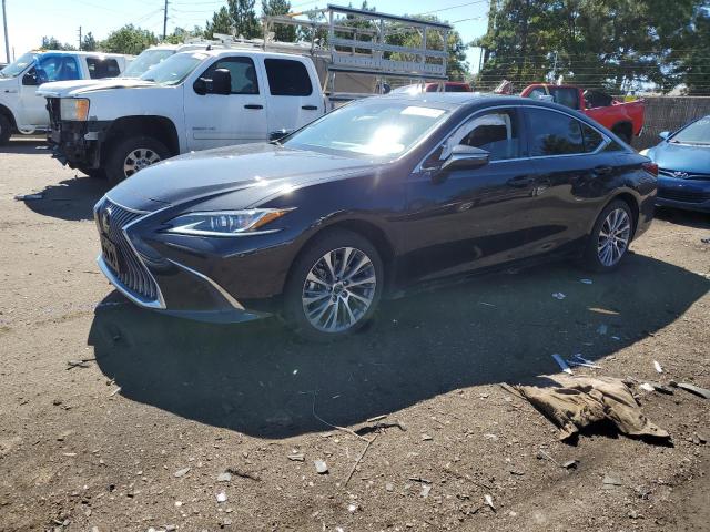 Lexus Es 250 bas (2021)