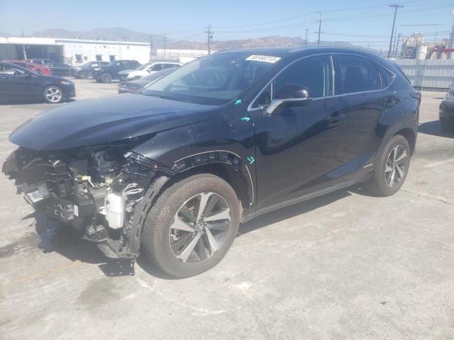 Lexus Nx 300h ba (2021)