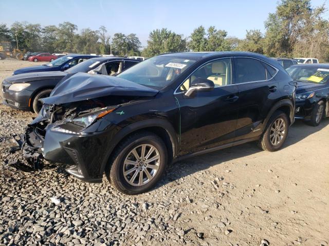 Lexus Nx 300h ba (2021)
