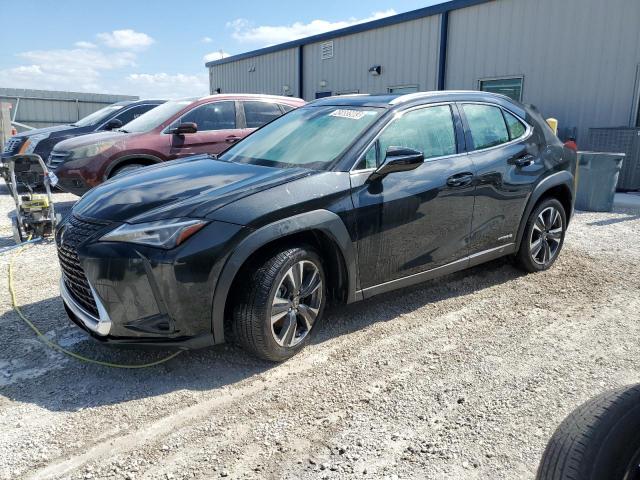 Lexus Ux 250h (2021)